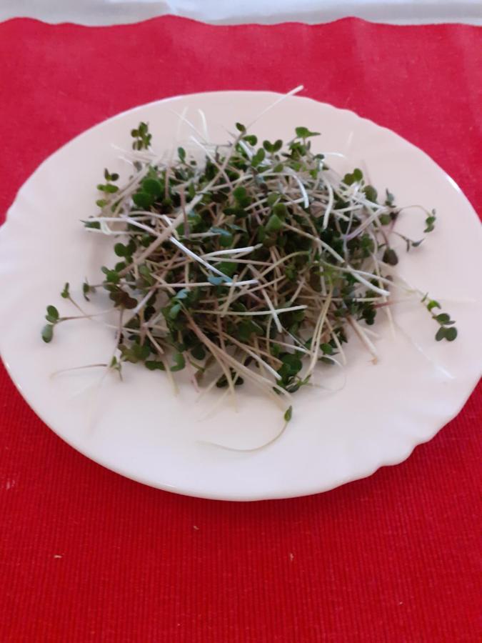 Mariánské Lázně Pension Akropolis, Eco Breakfasts From Farm מראה חיצוני תמונה